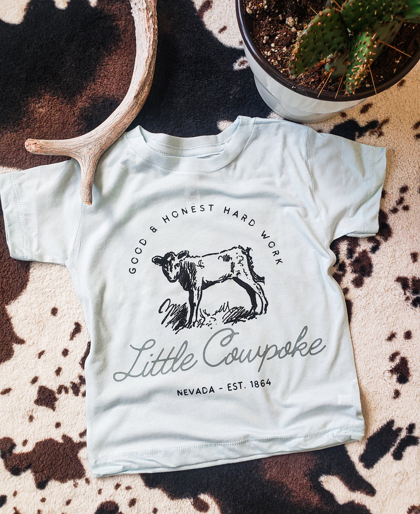 Little Cowpoke